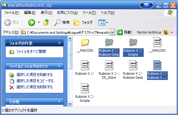 rubiconx.png
